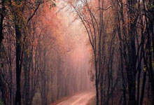 专业股票配资利息:配资行情-晶科能源午后突发20%涨停！马斯克突传重磅消息！